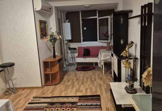 e6064bb9 6ec6 4d36 9853 639cfb4ab889 536x370 - Apartament 1 camera