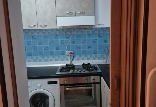 efb8b1a8 b511 4f04 892b e3db483ab455 536x370 - Apartament 1 camera