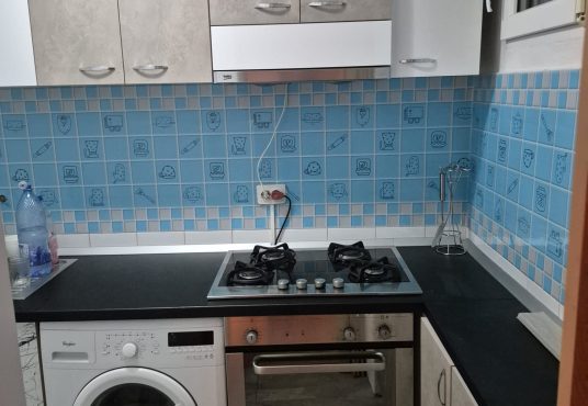 ff4dac26 a918 480d 8196 db9fb665dc30 536x370 - Apartament 1 camera