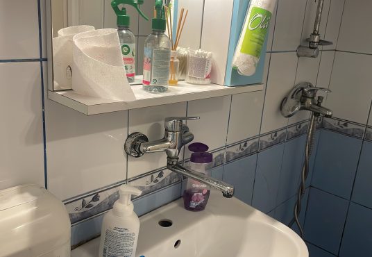 ABE0A744 8652 477A 8EE3 1B7E7AD50142 536x370 - Apartament 1 camera  zona 7 noiembrie Tg Mures