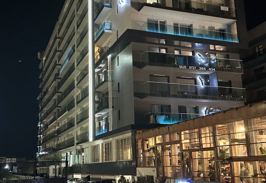 IMG 4941 536x370 - Proprietar garsoniere