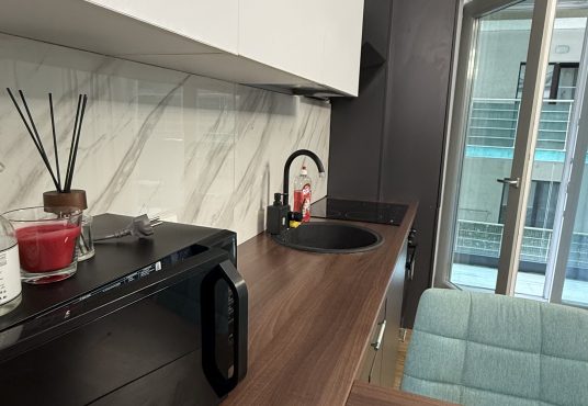 IMG 7861 536x370 - Proprietar garsoniere