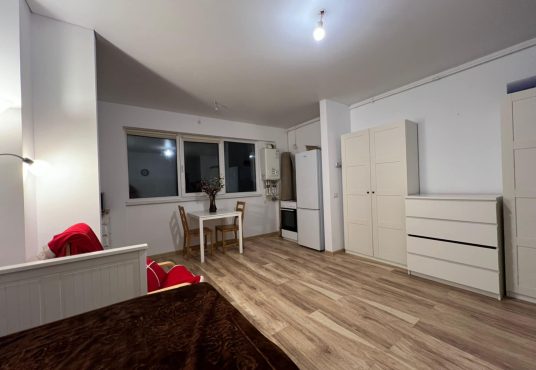 1d0e1fdd 134e 4bdf 85d7 4b36c88e28d8 536x370 - Proprietar Vanzare Garsoniera Pollux Residence