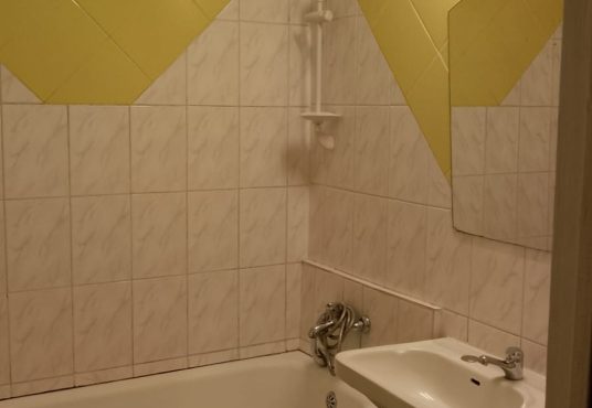 IMG 20241008 WA0017 536x370 - SIBIU-Mega Image, inchiriere gars,conf.1,proprietar,250&euro;, termen LUNG