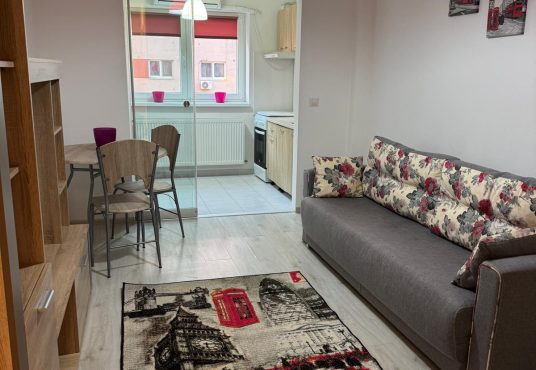 Living 3 536x370 - Vând garsonieră cu loc parcare teran lângă metrou Nicolae Teclu