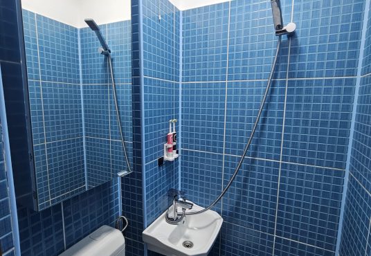 WhatsApp Image 2026 01 07 6 536x370 - Vand Garsoniera Str Traian Pitesti