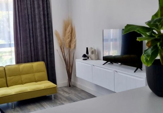 WhatsApp Image 2026 01 20 at 16.17.27 1 536x370 - Studio modern de &icirc;nchiriat &ndash; Onix Blue, Mamaia Nord