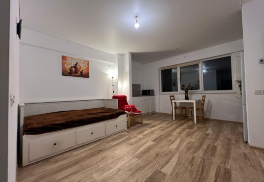 e9d20e5d 20ec 4122 b0f9 9ccedc4c6f82 536x370 - Proprietar Vanzare Garsoniera Pollux Residence