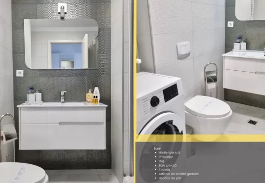 image 2 536x370 - Studio modern de &icirc;nchiriat &ndash; Onix Blue, Mamaia Nord