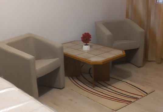 20250526 134759 536x370 - Proprietar, v&acirc;nd garsonieră, Aleea Călinești, (Șos.Giurgiului, sect.4