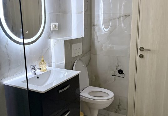 IMG 1153 536x370 - Apartament cu o cameră/garsoniera