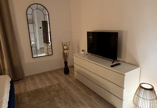 IMG 1192 536x370 - Apartament cu o cameră/garsoniera