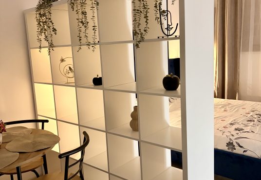 IMG 1195 536x370 - Apartament cu o cameră/garsoniera