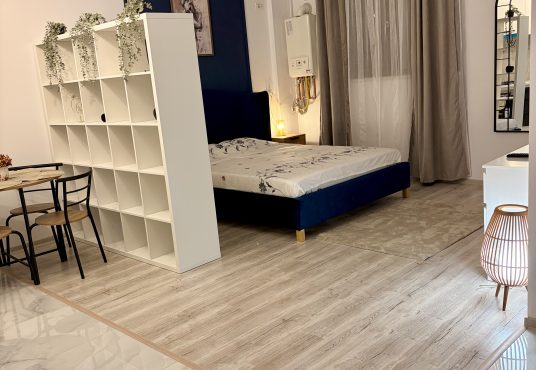 IMG 1200 536x370 - Apartament cu o cameră/garsoniera