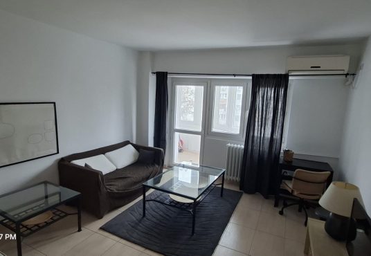 WhatsApp Image 2026 02 13 at 15.23.23 1 536x370 - Garsoniera Stirbei Voda