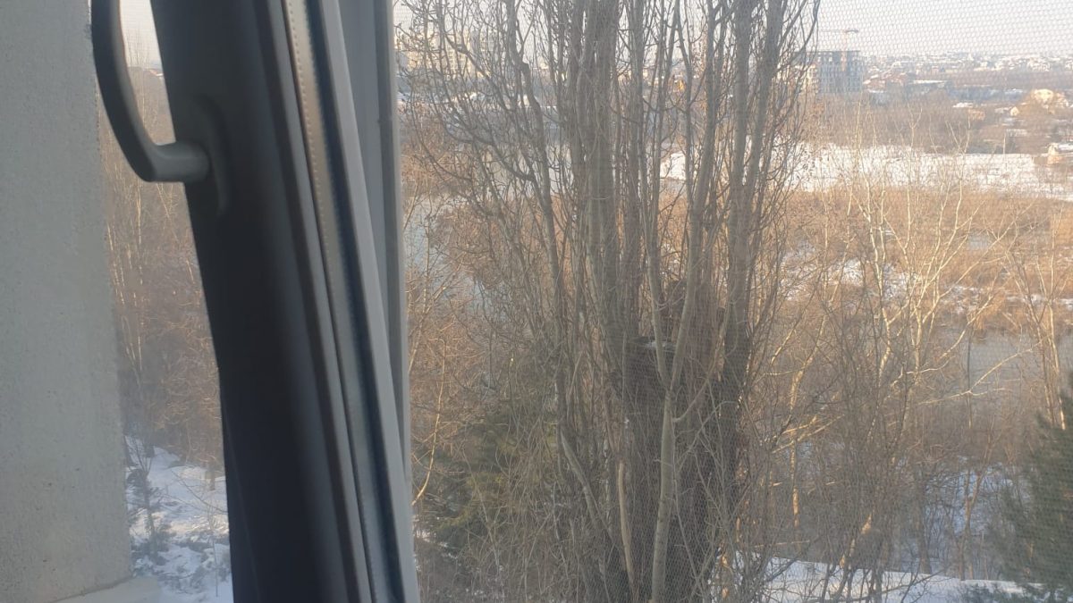 3898a934 6ab7 4716 a722 87619867b23c 1200x675 - Proprietar: Garsonieră cu vedere la lac, vis-a-vis de Spitalul Pantelimon, Sector 2