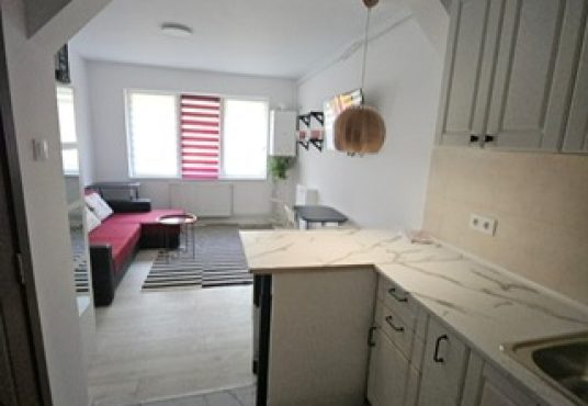 812d0b93 ec7d 4c30 87f0 e42d9068072e 536x370 - Inchiriez garsoniera zona Racadau