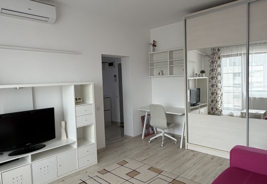 IMG 2390 536x370 - PROPRIETAR | Garsonieră Decomandată LUJERULUI &ndash; Vedere PARCUL LINIEI &ndash; Orientare SUD