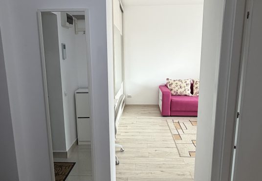 IMG 2399 536x370 - PROPRIETAR | Garsonieră Decomandată LUJERULUI &ndash; Vedere PARCUL LINIEI &ndash; Orientare SUD