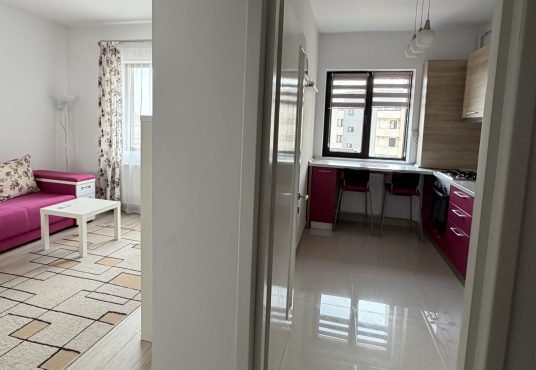 IMG 2460 536x370 - PROPRIETAR | Garsonieră Decomandată LUJERULUI &ndash; Vedere PARCUL LINIEI &ndash; Orientare SUD