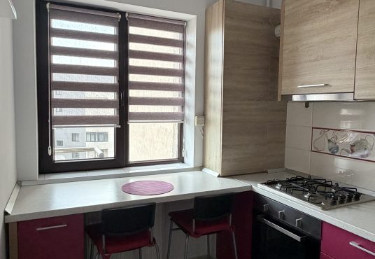 IMG 2508 536x370 - PROPRIETAR | Garsonieră Decomandată LUJERULUI &ndash; Vedere PARCUL LINIEI &ndash; Orientare SUD