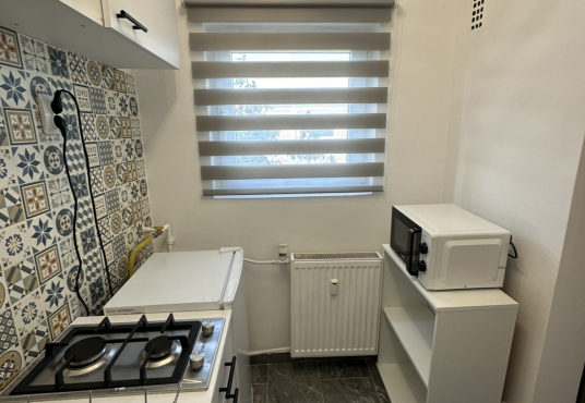 IMG 7605 536x370 - V&acirc;nd garsonieră